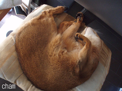 c0132438_2148182.jpg