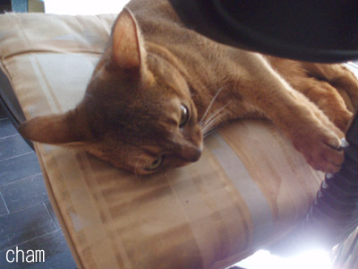 c0132438_21511813.jpg