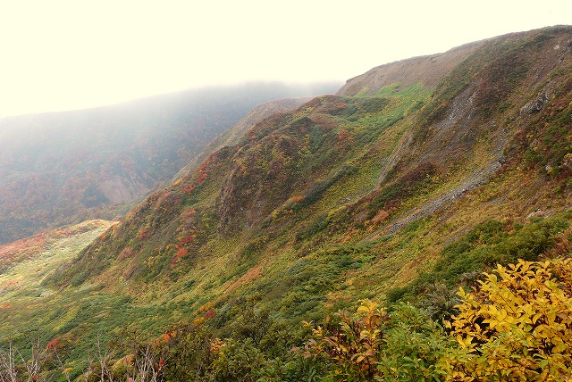 f0003138_1451424.jpg