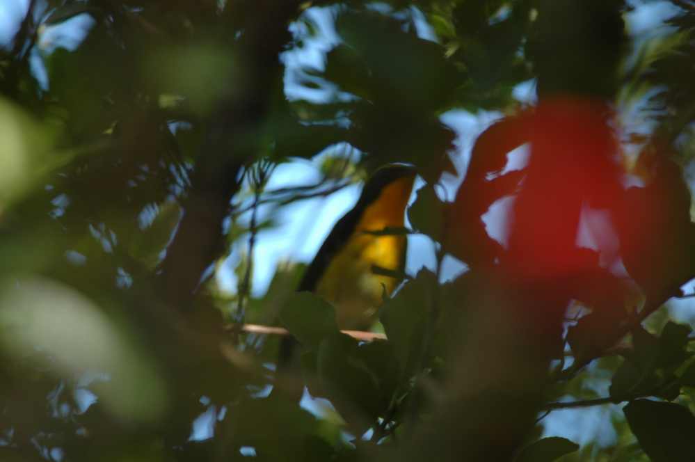 c0172139_9554321.jpg