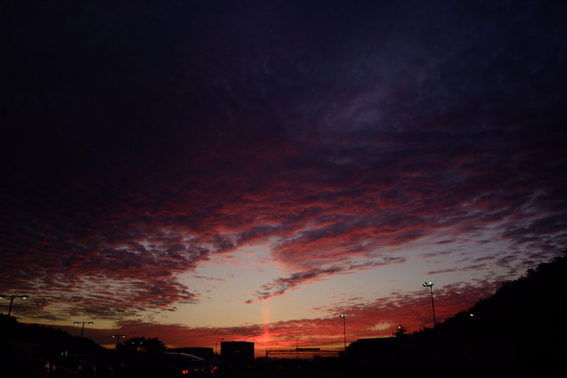 b0075541_228445.jpg