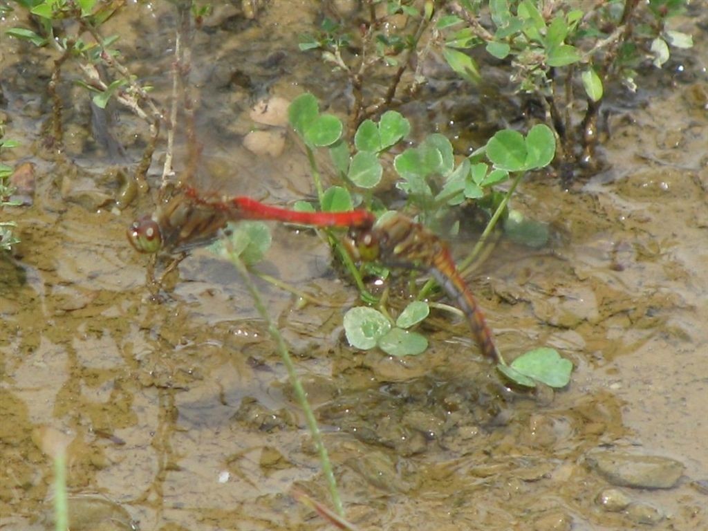 f0151044_7491536.jpg