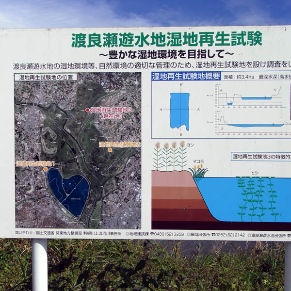 f0184244_2237149.jpg
