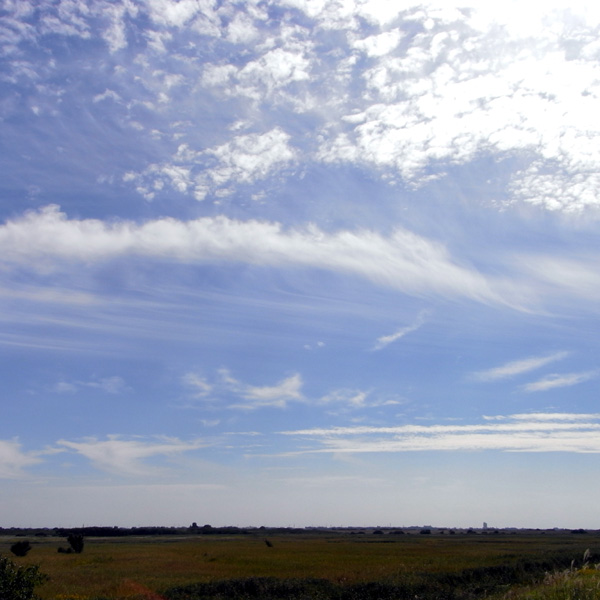f0184244_22373346.jpg