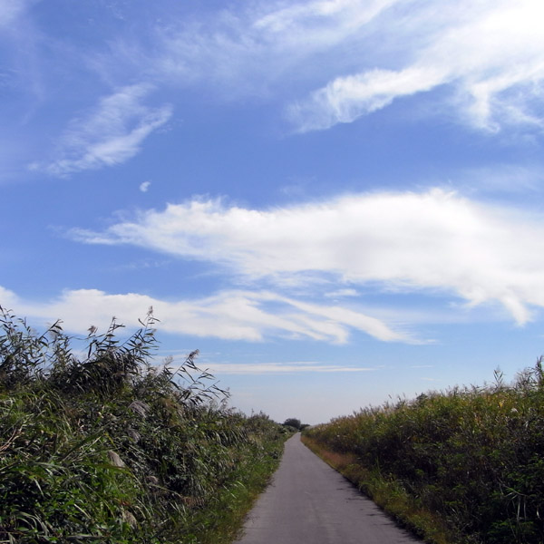 f0184244_2238753.jpg