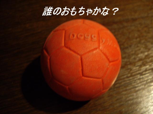 e0098547_3185671.jpg