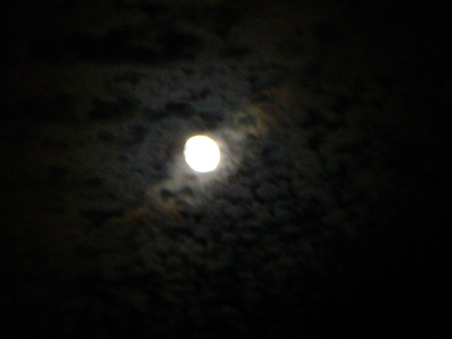 e0098547_3585971.jpg