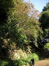e0022948_2322936.jpg