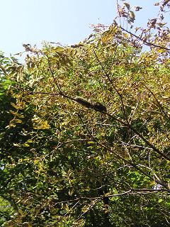 e0022948_2331089.jpg