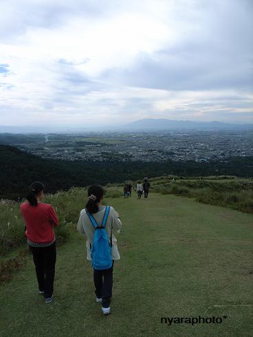 f0175448_2014580.jpg