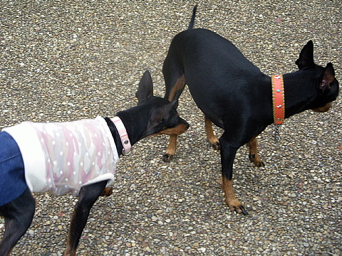 c0123149_0274379.jpg