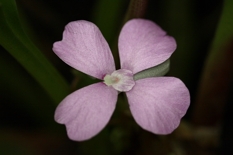 a0094850_2020102.jpg