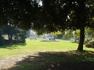 e0018350_353274.jpg