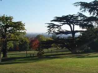 e0018350_3541788.jpg