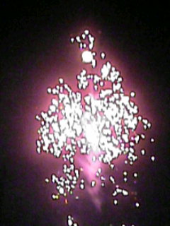a0081951_1423473.jpg