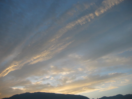 b0072051_3755.jpg