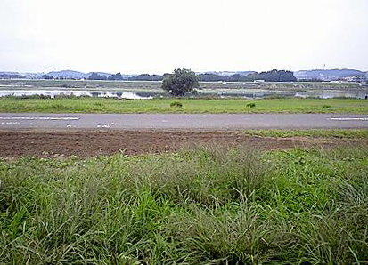 c0179152_1343593.jpg