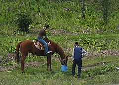 d0031853_3515699.jpg