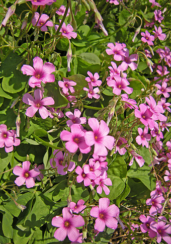 a0001354_2001024.jpg