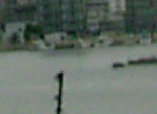 c0091055_20581539.jpg