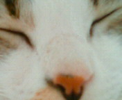 c0052756_1231433.jpg