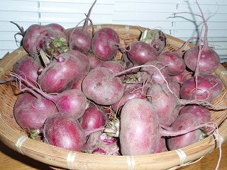 e0004756_20414720.jpg