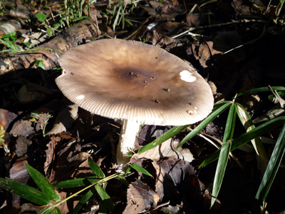 b0045357_3393216.jpg