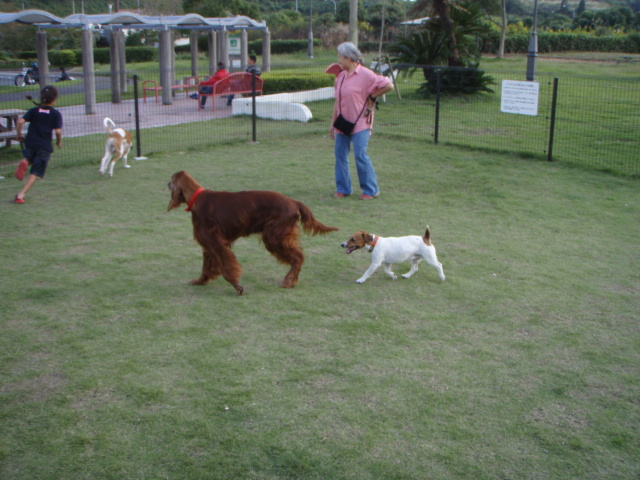 d0143957_13584325.jpg