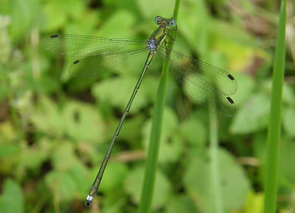 e0064158_23351375.jpg