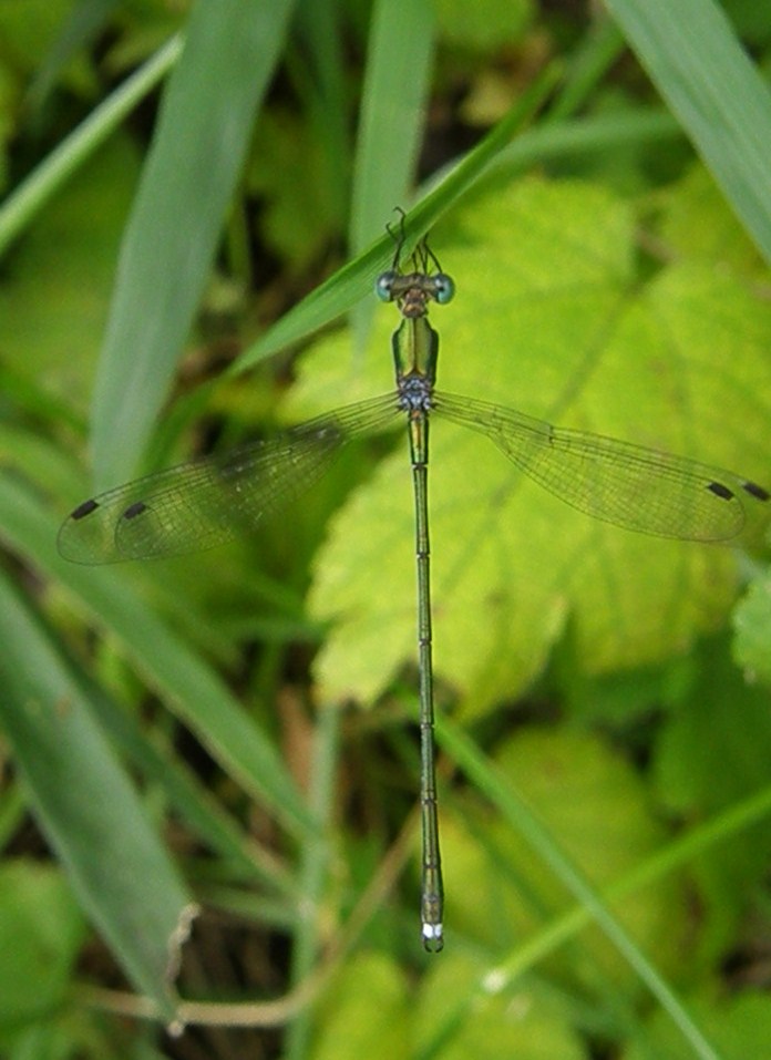 e0064158_23361372.jpg
