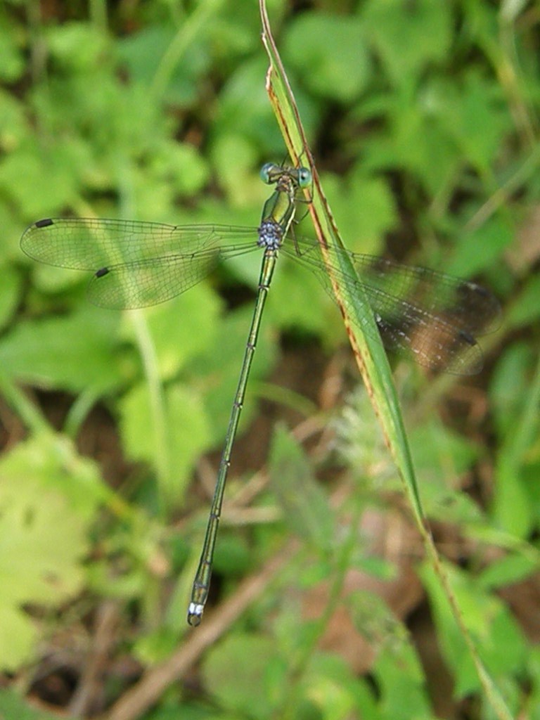 e0064158_2336282.jpg