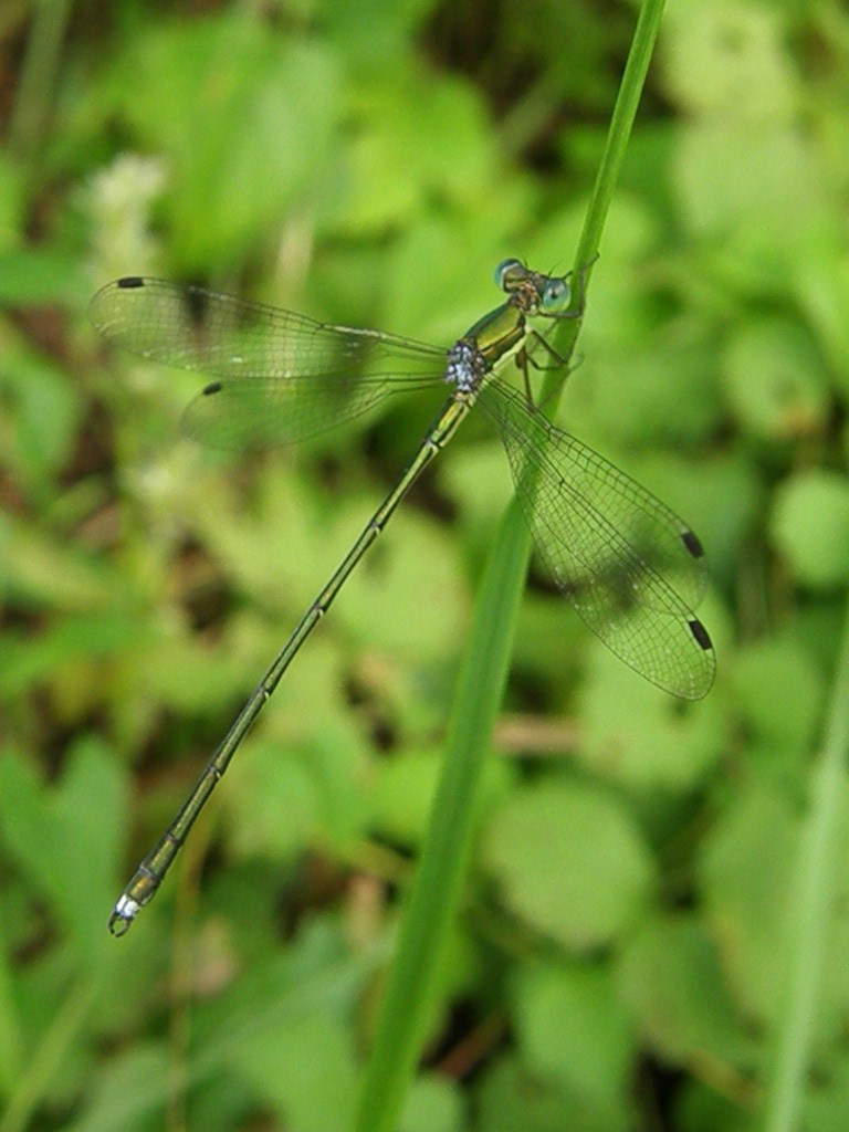 e0064158_23364015.jpg