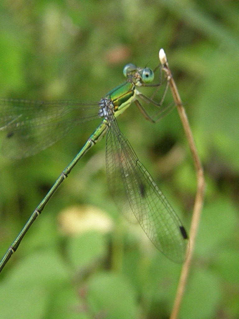 e0064158_23374768.jpg