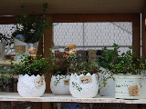 d0087062_20103599.jpg