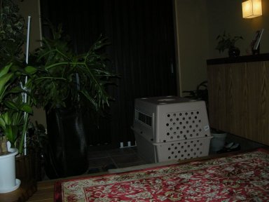 b0113663_8554455.jpg
