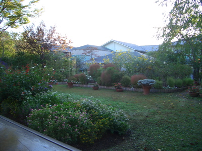 d0105063_15836.jpg