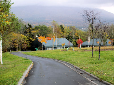 f0107364_941620.jpg