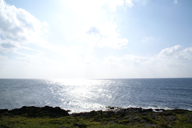 a0091666_19313666.jpg