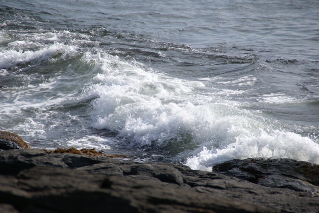 a0091666_19475233.jpg