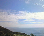 f0180166_2028017.jpg