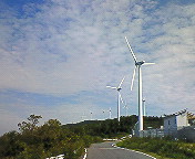 f0180166_206428.jpg