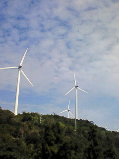 f0180166_2083768.jpg