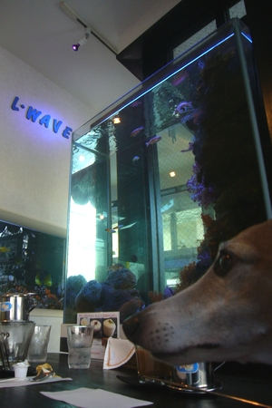 b0069169_11311390.jpg