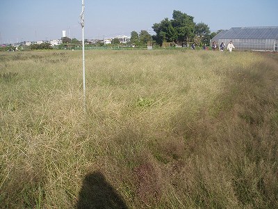 b0133870_23211460.jpg