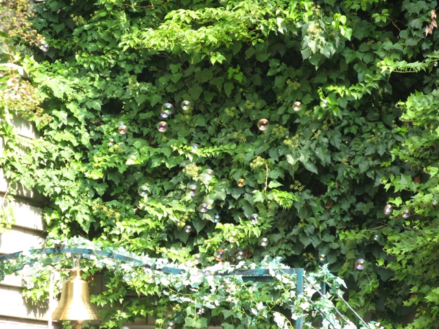 d0052770_17252367.jpg