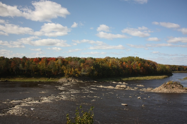 a0100975_1302481.jpg
