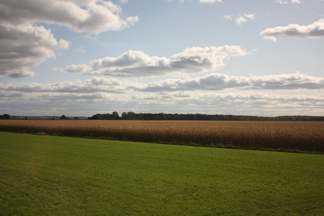 a0100975_151354.jpg