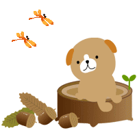 f0155475_1558420.gif