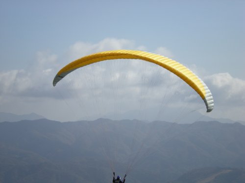 e0014678_1730291.jpg