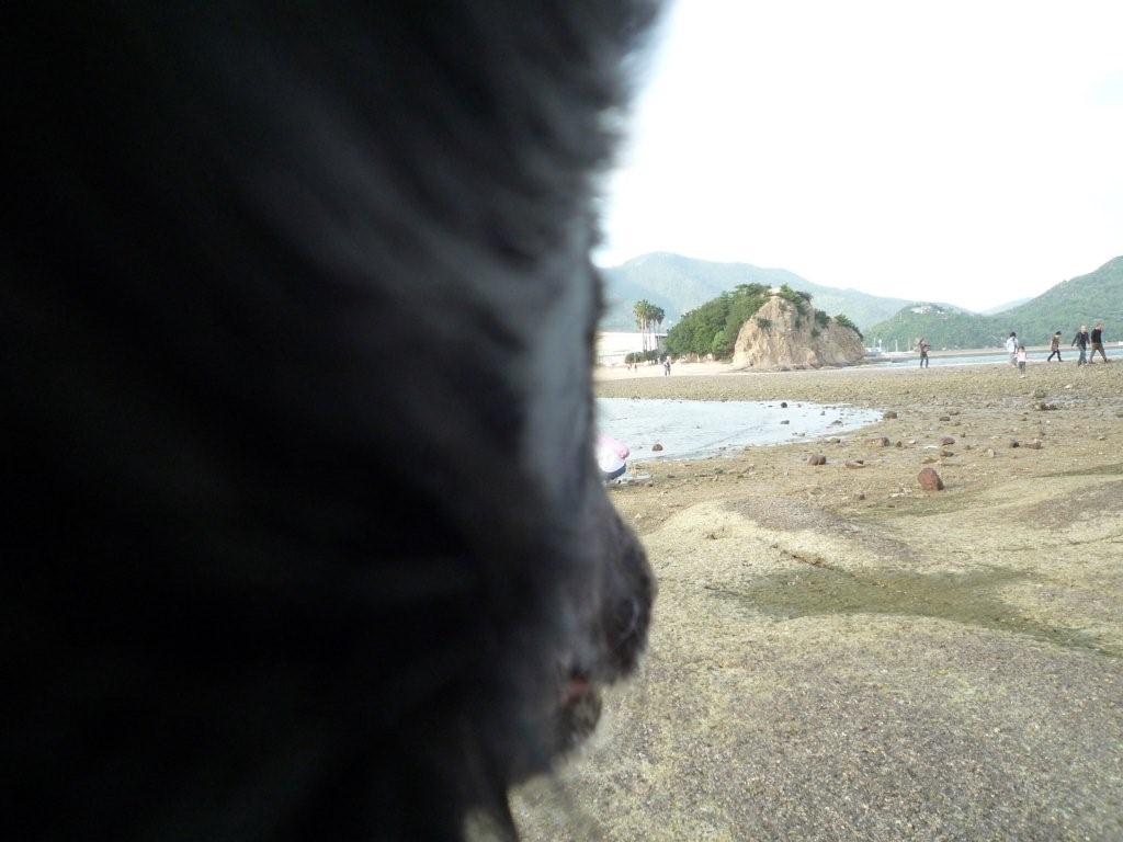 c0052779_14385814.jpg